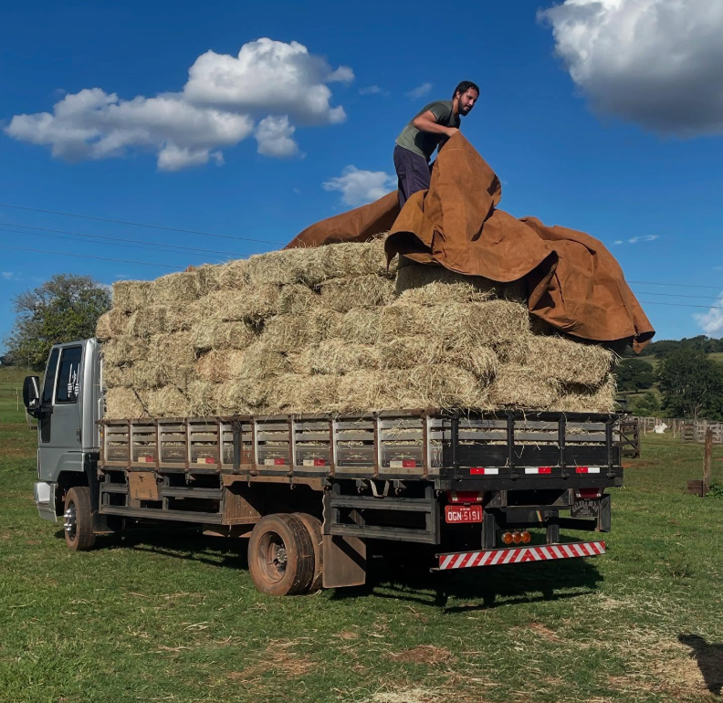 Caminhão carregado com fardos de feno sendo protegido por lona na fazenda da FarmHaus Pets